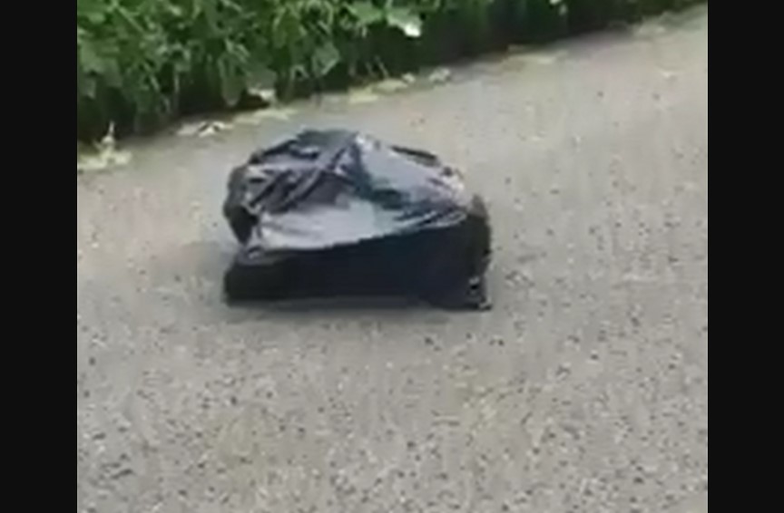 Frenó en medio de la ruta al ver una bolsa que se movía: “Algo estaba vivo adentro”