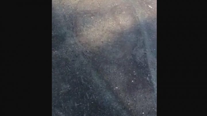 Apareció la imagen de la virgen en un charco de agua