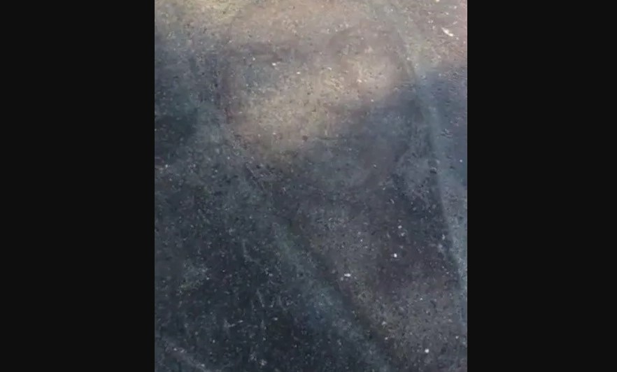Apareció la imagen de la virgen en un charco de agua