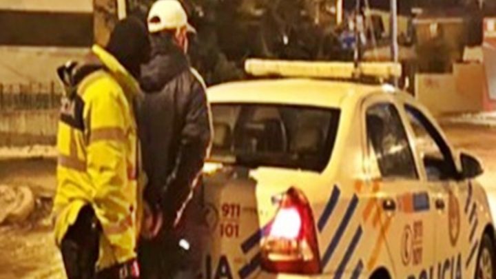 Detenido en Ushuaia transportando una planta de marihuana