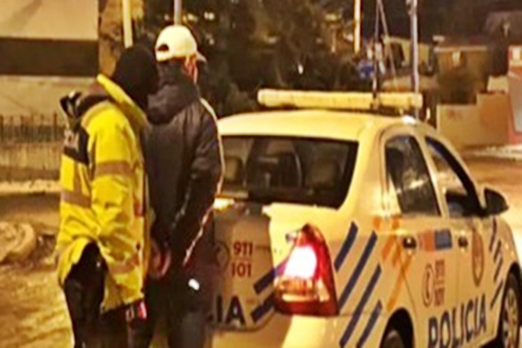 Detenido en Ushuaia transportando una planta de marihuana Detenido en Ushuaia transportando una planta de marihuana