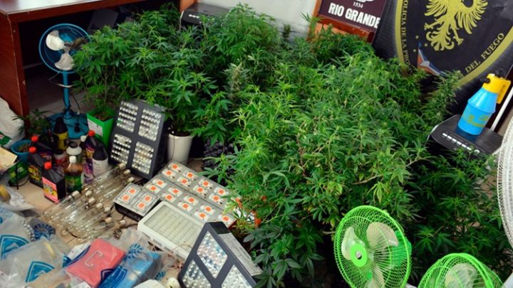 Varios allanamientos por droga y tres imputados