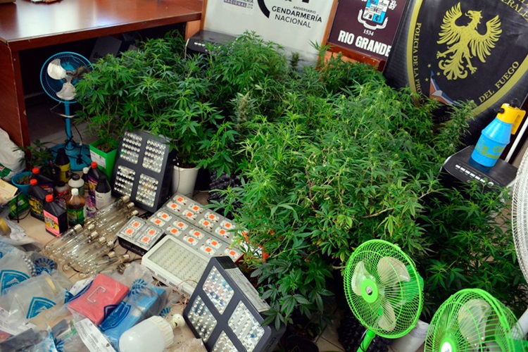 Varios allanamientos por droga y tres imputados Varios allanamientos por droga y tres imputados