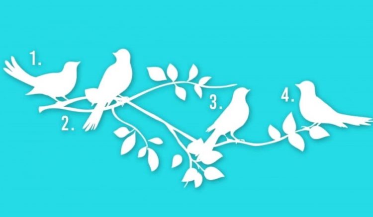 Test visual: el pájaro que elijas revela tu propósito en la vida