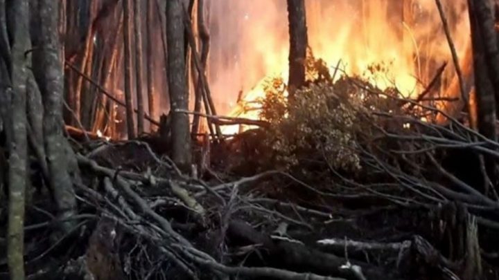 Dos incendios en Ushuaia
