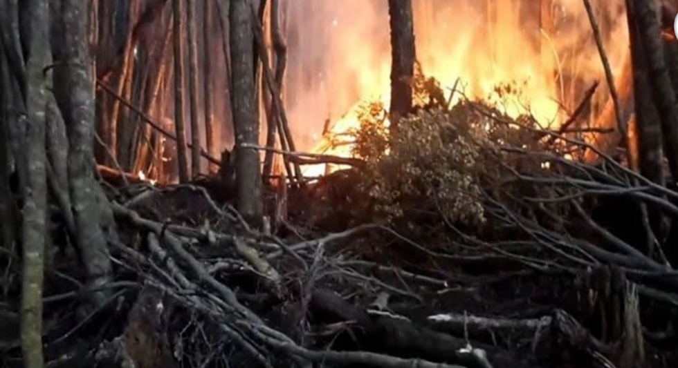 Dos incendios en Ushuaia Dos incendios en Ushuaia