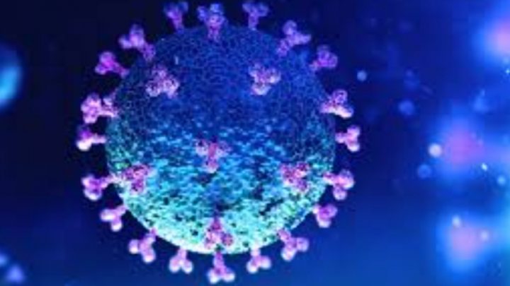 Hoy fueron confirmados 11.977 nuevos casos