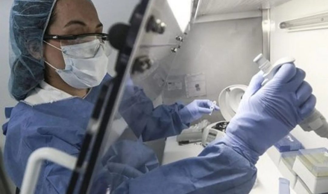 Coronavirus en Argentina hoy: registraron 11.163 nuevos casos y 251 muertes