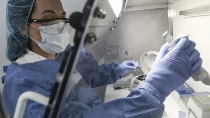 Coronavirus en Argentina hoy: registraron 11.163 nuevos casos y 251 muertes