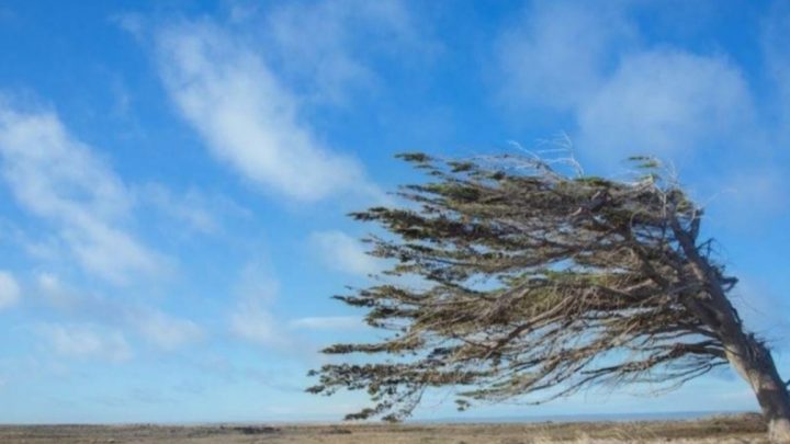 ¿Hasta cuándo sigue el viento en Tierra del Fuego?