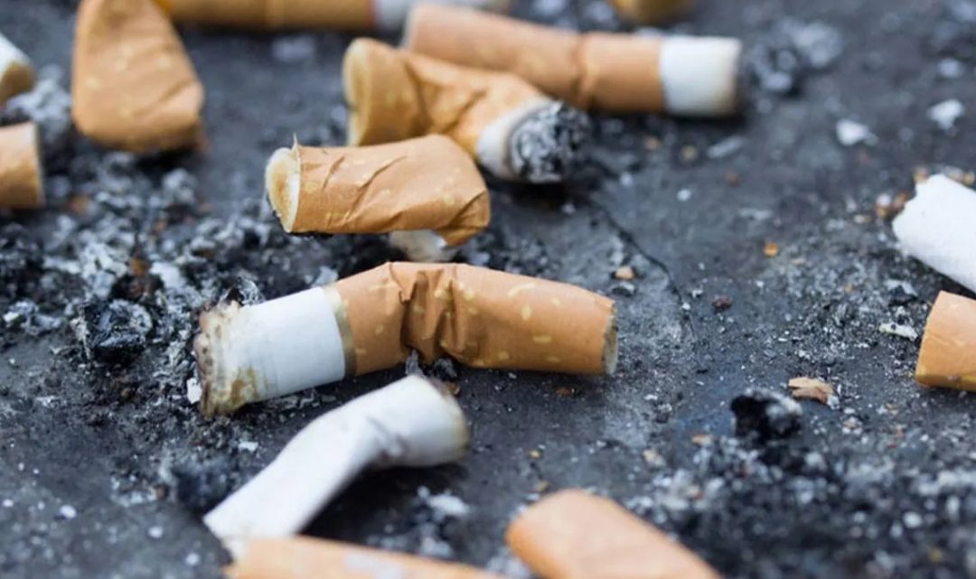 Prohíben por ley arrojar colillas de cigarrillos en la vía pública
