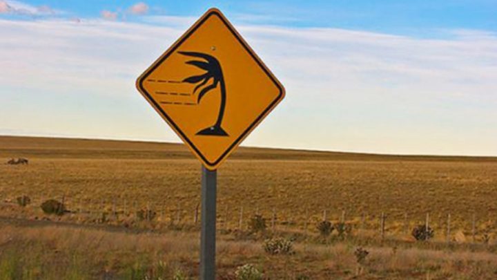 Aviso de vientos fuertes para hoy en Río Grande y alrededores