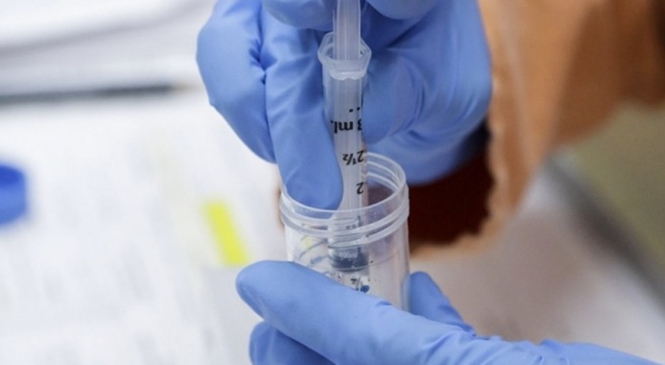 La OMS advirtió que las vacunas «no erradicarán el coronavirus» hasta que no se sepa cómo se transmite