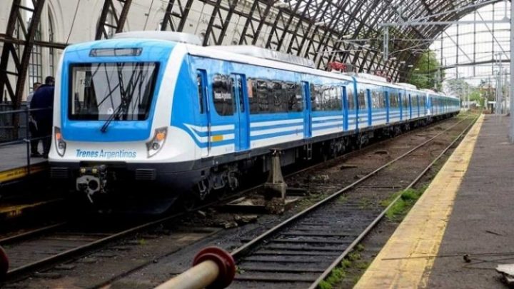 Un delincuente intentó robar en el tren y casi muere aplastado
