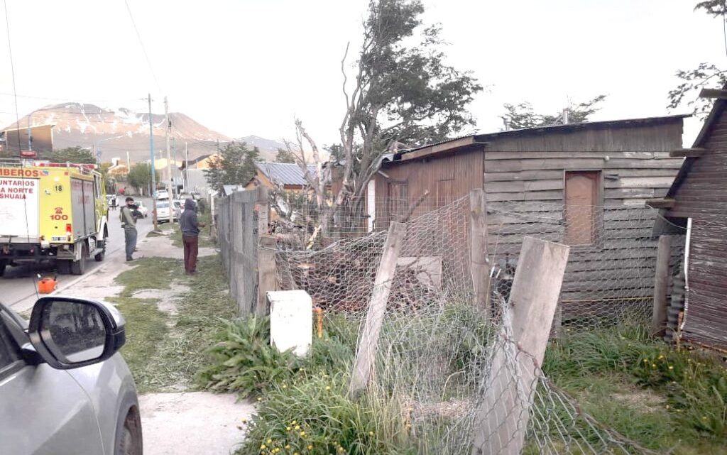 Fuertes ráfagas provocaron la caída de un árbol sobre una casa