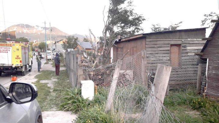 Fuertes ráfagas provocaron la caída de un árbol sobre una casa