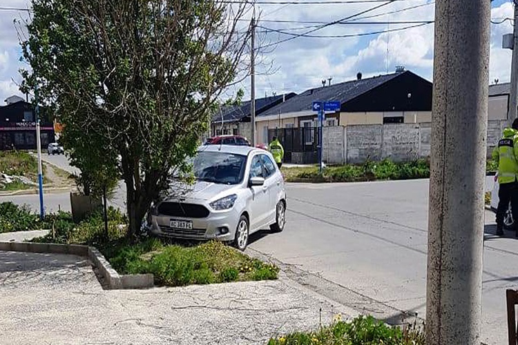 Choque uno de los vehículos termino impactando contra un árbol Choque uno de los vehículos termino impactando contra un árbol