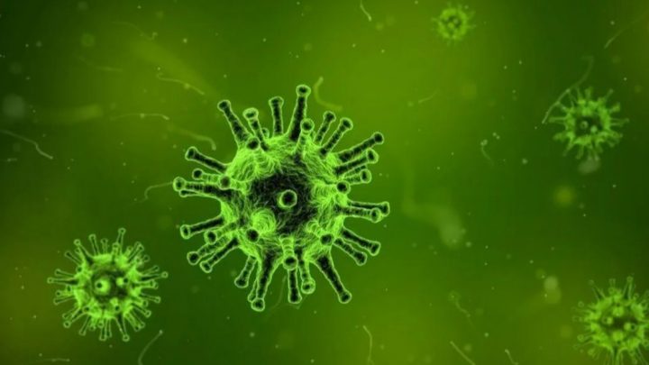 Coronavirus y ahora el norovirus: cuáles son los síntomas de la enfermedad que ataca a los niños