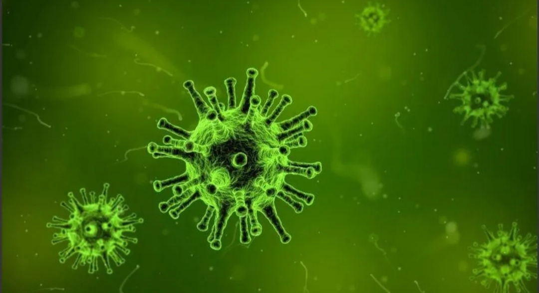 Coronavirus y ahora el norovirus: cuáles son los síntomas de la enfermedad que ataca a los niños Coronavirus y ahora el norovirus: cuáles son los síntomas de la enfermedad que ataca a los niños