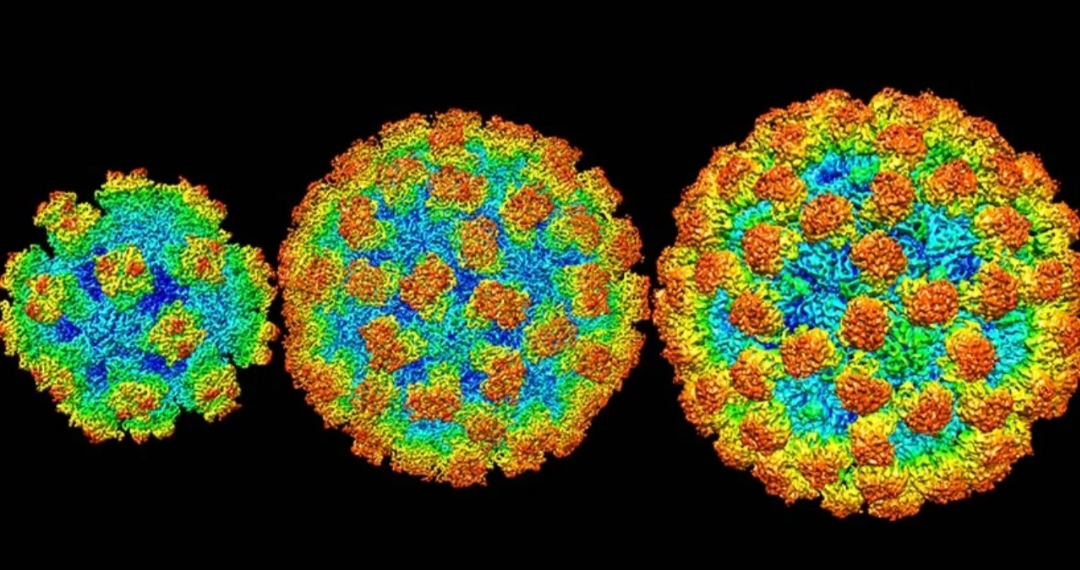 Norovirus, el virus chino que afecta a niños: ¿Cuáles son los síntomas?
