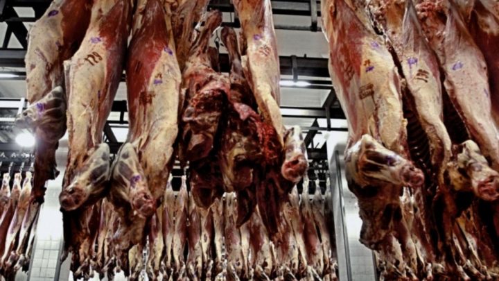 Asado, vacío y matambre: el plan para que haya «carne barata » en las fiestas