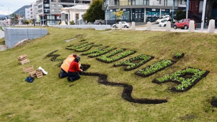 En Ushuaia, la Municipalidad realizó trabajos de puesta en valor de la avenida Perito Moreno