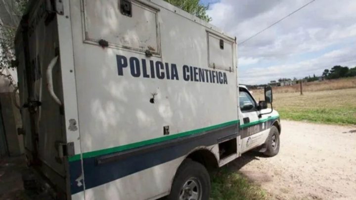 Horror en Mar del Plata: asesinaron a un hombre y una jauría devoró su cadáver