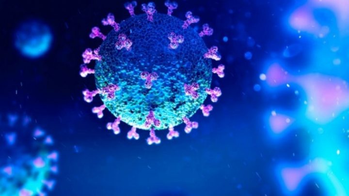 Una nueva investigación revela que la inmunidad contra el coronavirus dura al menos 8 meses