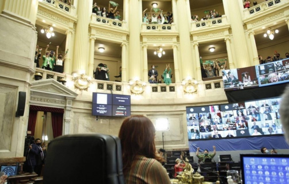 Una por una, las claves del proyecto de legalización del aborto que aprobó el Senado Una por una, las claves del proyecto de legalización del aborto que aprobó el Senado