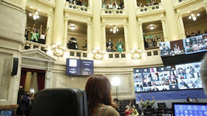 Una por una, las claves del proyecto de legalización del aborto que aprobó el Senado