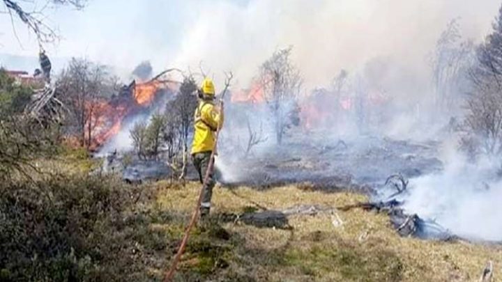 Incendio por un fogón mal apagado