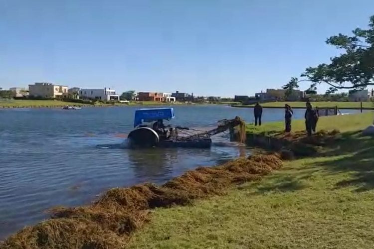 Encontraron el cuerpo del joven que se cayó del kayak en un country de Escobar