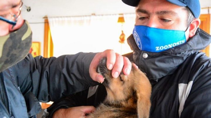 ” Zoonosis más cerca”: Los servicios municipales de Ushuaia estuvieron en el Kaupén