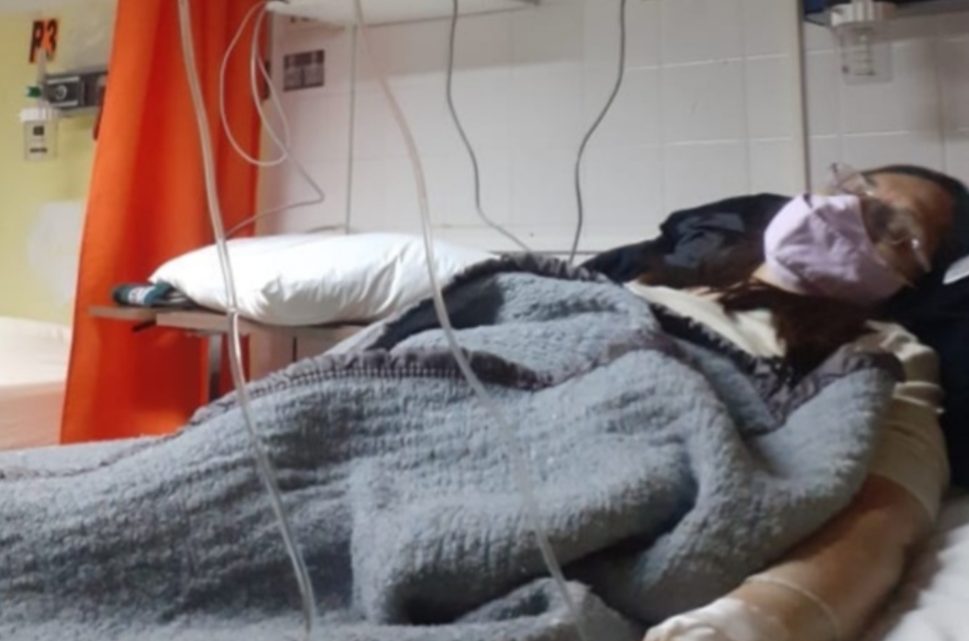 Todos por Norma Ojeda, necesita nuestra ayuda