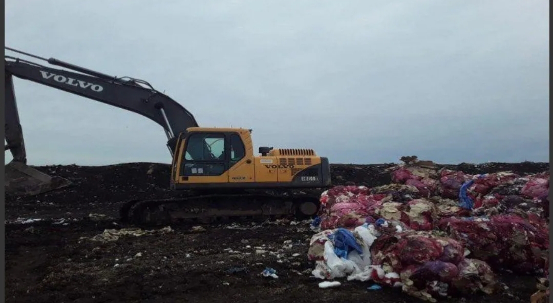 Horror en Mar del Plata: encuentran nueve fetos en descomposición