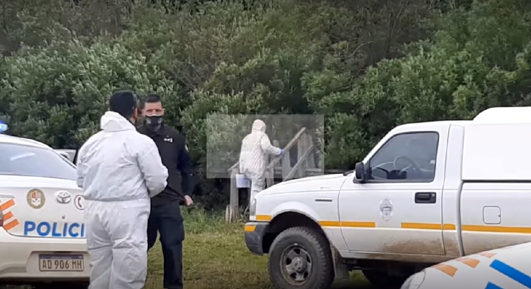 Encontraron ahorcado a un peón de 20 años en un árbol de la estancia María Behety