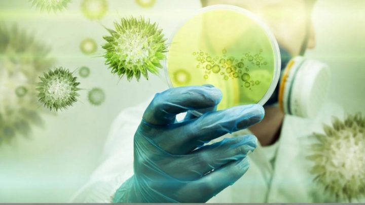 El coronavirus se convertirá en una endemia