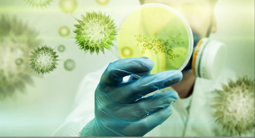 El coronavirus se convertirá en una endemia El coronavirus se convertirá en una endemia