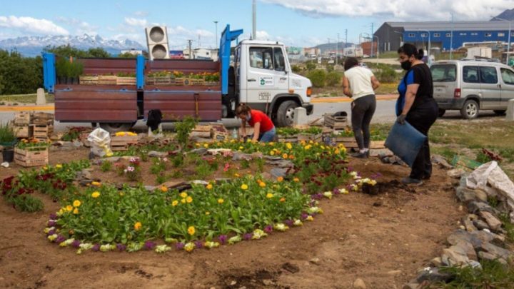 La Municipalidad embellece la rotonda de ingreso a Ushuaia
