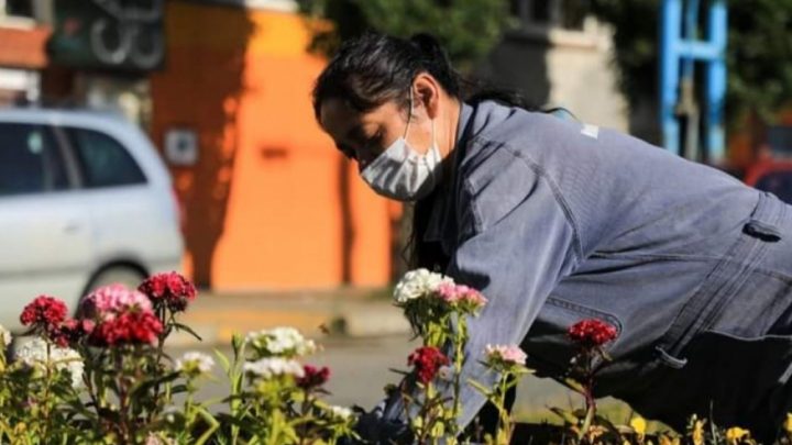 Avanzan los trabajos de embellecimiento de la ciudad