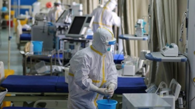 Un investigador del CONICET dijo que lo de Formosa fue “un éxito sanitario incontrastable” Un investigador del CONICET dijo que lo de Formosa fue “un éxito sanitario incontrastable”