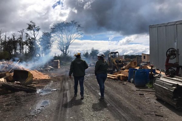 Industria maderera: El Ministerio de Trabajo realiza inspecciones en aserraderos de Tolhuin