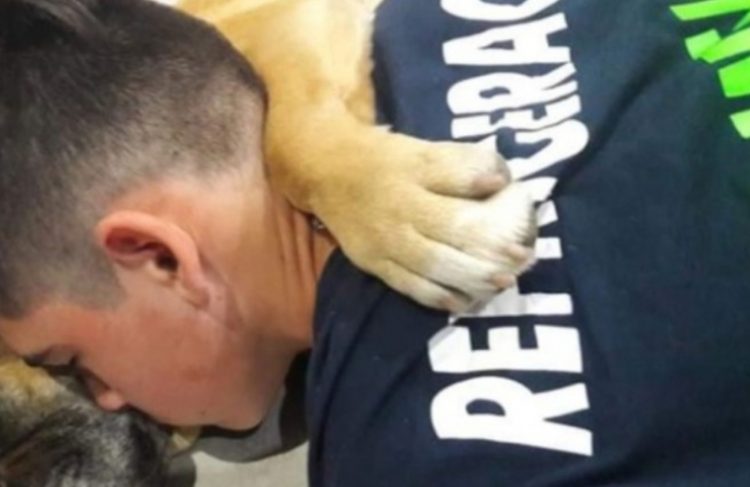 Una perra murió abrazada a su dueño tras sufrir un infarto por culpa de los fuegos artificiales