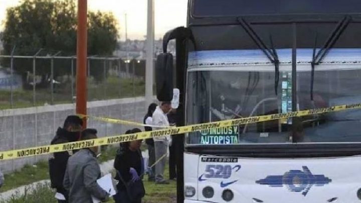 Un delincuente subió a un colectivo y los pasajeros lo asesinaron a golpes
