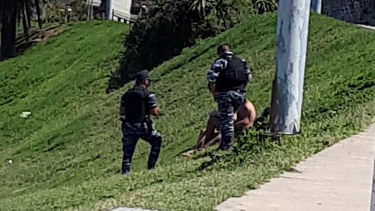 Descubrieron a dos jóvenes teniendo sexo a plena luz del día en un parque emblemático de Mar del Plata