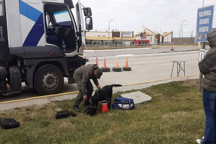 Gendarmeria incauta droga y contrabando a camionero