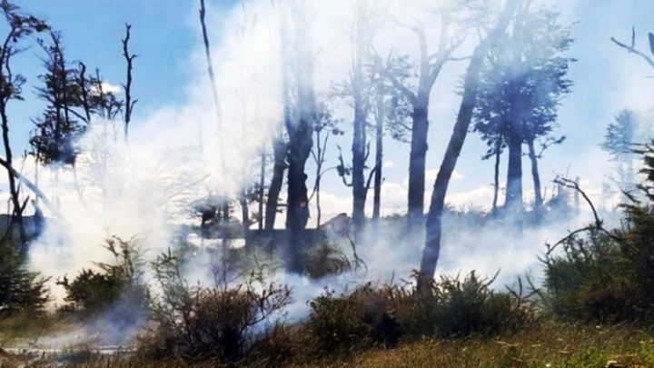 Nuevo incendio por fogón mal apagado