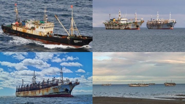 Unos 400 buques chinos cruzaron el Estrecho para depredar el Mar Argentino