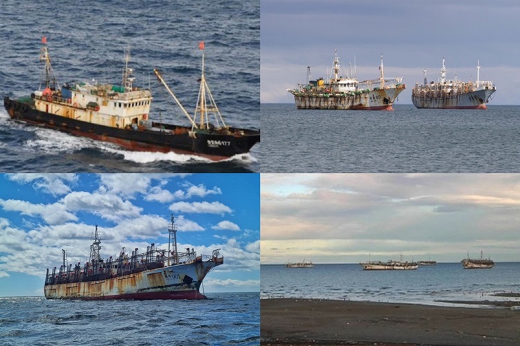Unos 400 buques chinos cruzaron el Estrecho para depredar el Mar Argentino