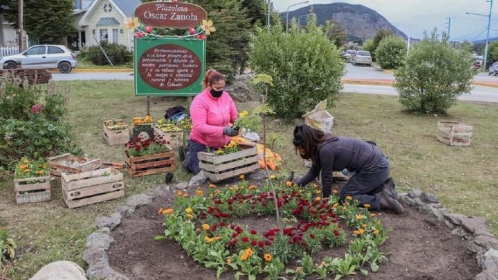 Intensa jornada de embellecimiento urbano en la ciudad